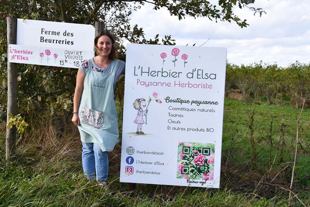 tarte aux pommes à la gelée de rose