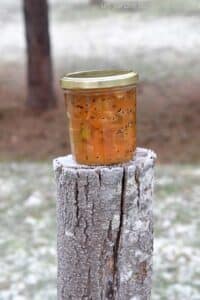 confiture de kiwis et pommes