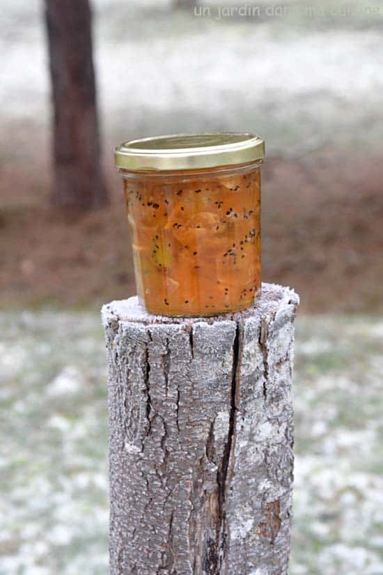 confiture de kiwis et pommes