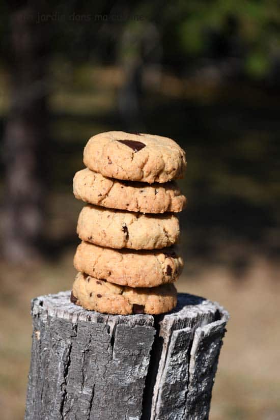 biscuits à la purée de cacahuète