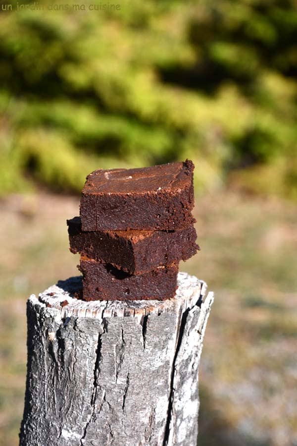 gâteau au chocolat sans beurre