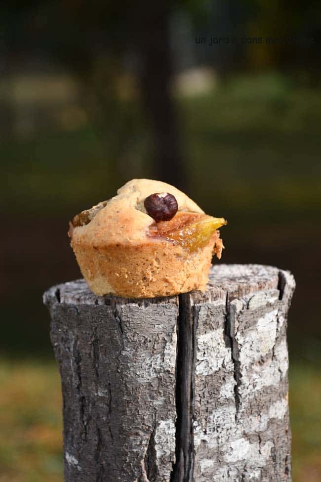muffins aux figues
